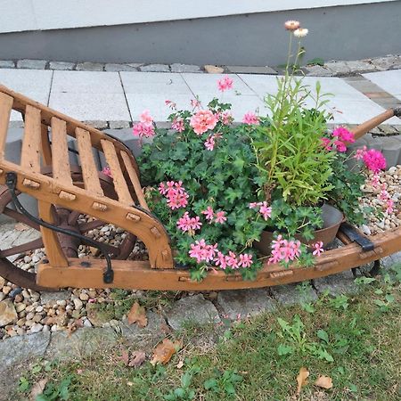 Ferienwohnung Bittner Klitten Esterno foto