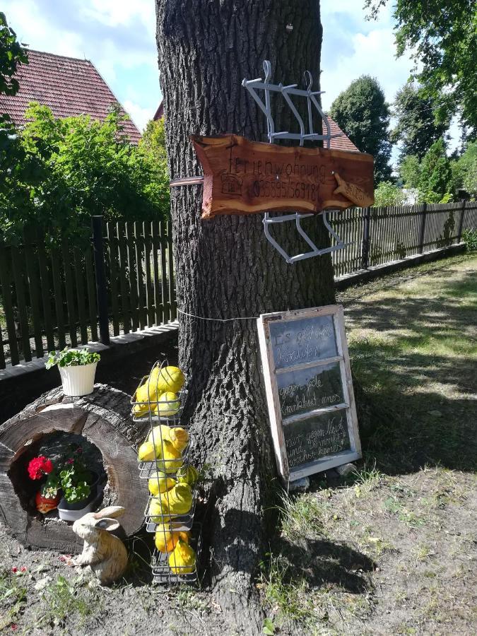 Ferienwohnung Bittner Klitten Esterno foto