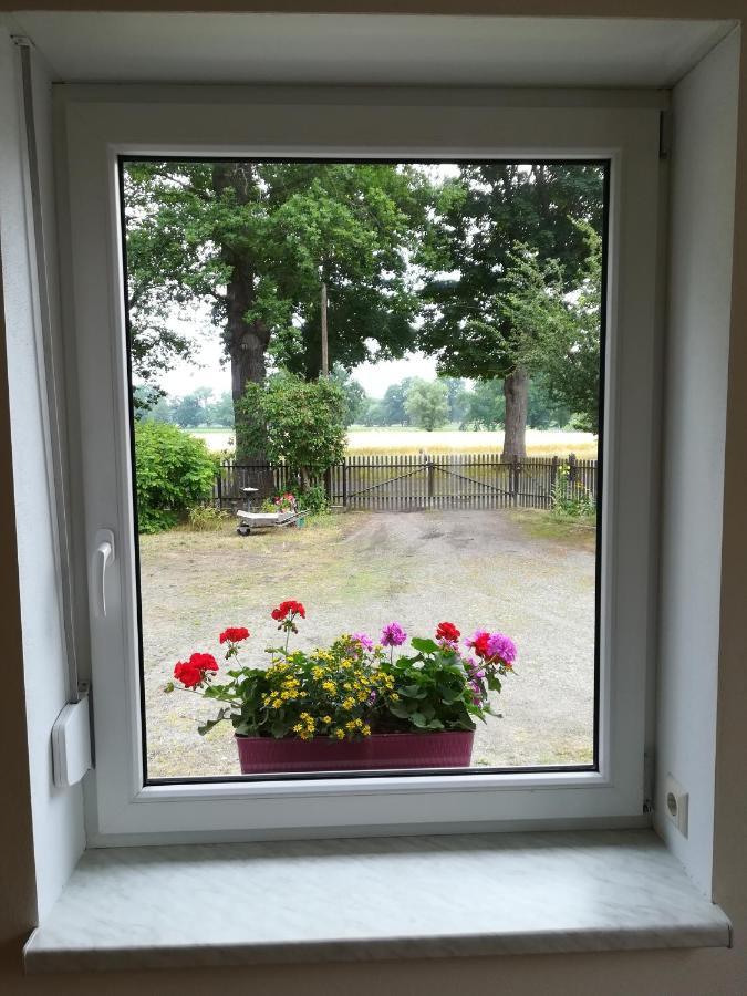 Ferienwohnung Bittner Klitten Esterno foto